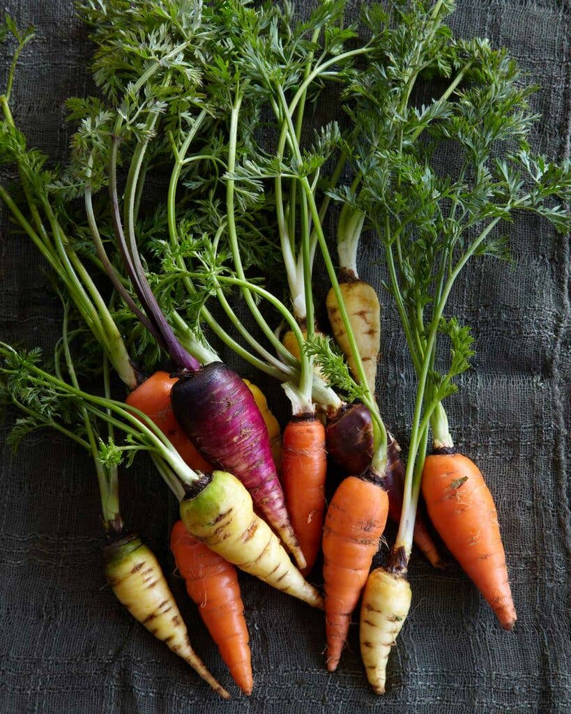 carrot roots