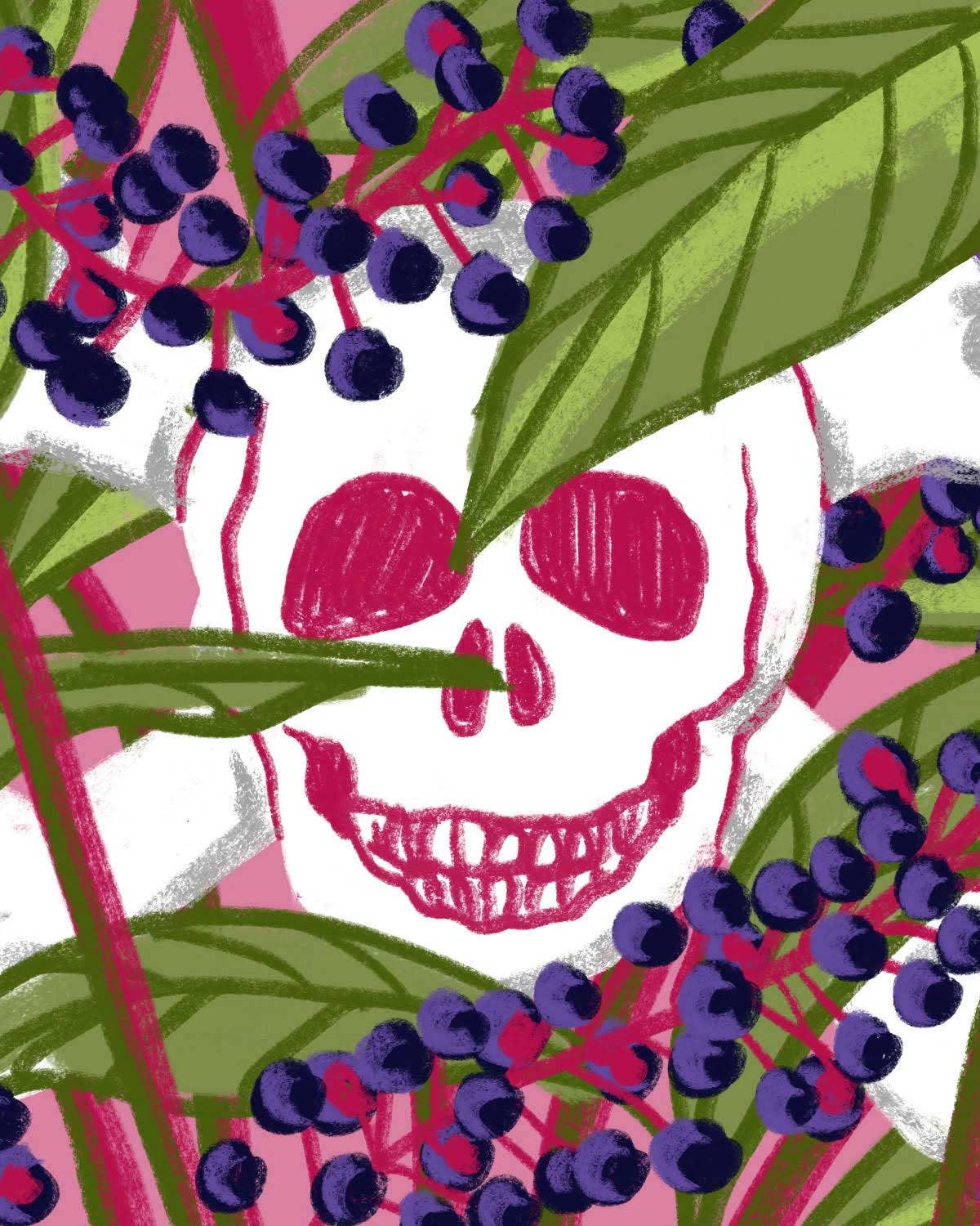 How Did This Poisonous Plant Become One of the American South’s Most Long-Standing Staples?