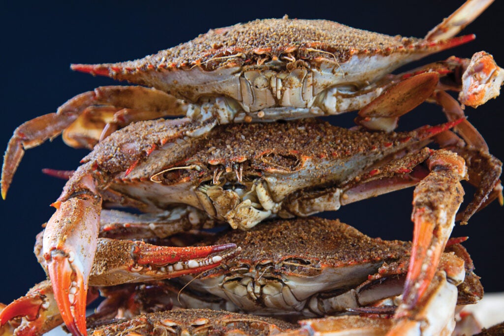 Steamed Blue Crabs