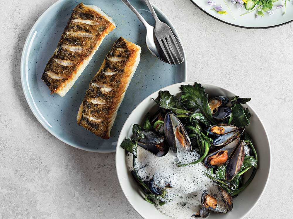 Pan-Seared White Fish With Mussels, Cabbage Shoots, and Cream
