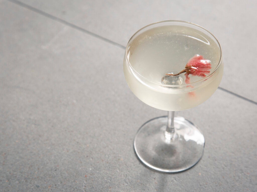Sakura Martini