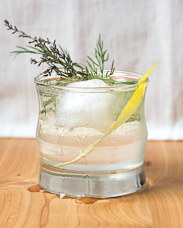 Dill Gin and Tonic