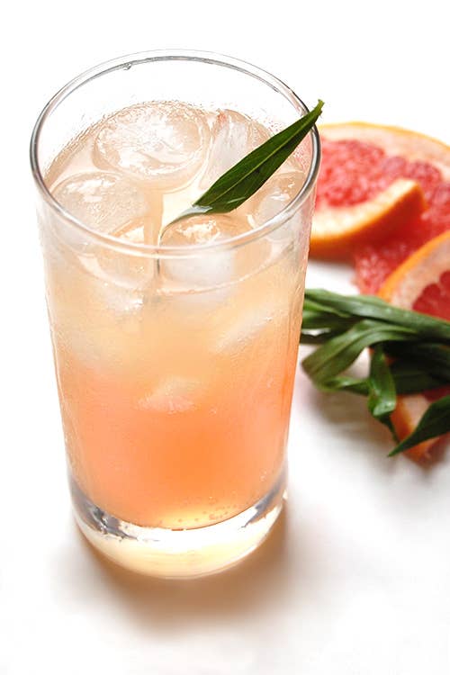 Friday Cocktails: The Charleston Fizz