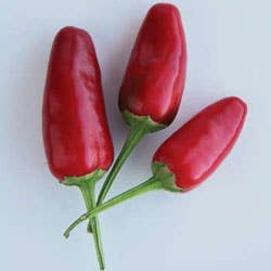 Meet Pepper X: Now The Spiciest Chilli In The World