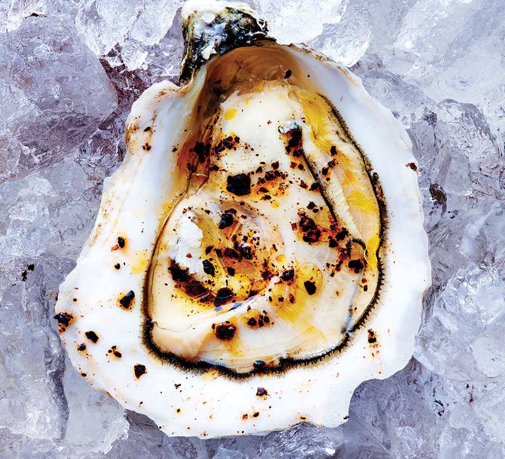 Raw Oysters with Lemon Oil and Urfa Biber