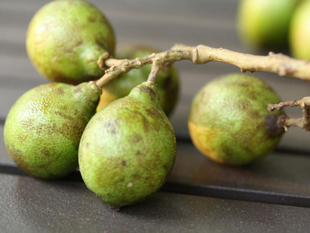 18 caribbean fruits to know and love