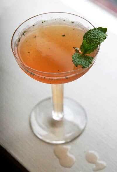 31 Must-Try Apricot Cocktails 23 Apricot Blossom