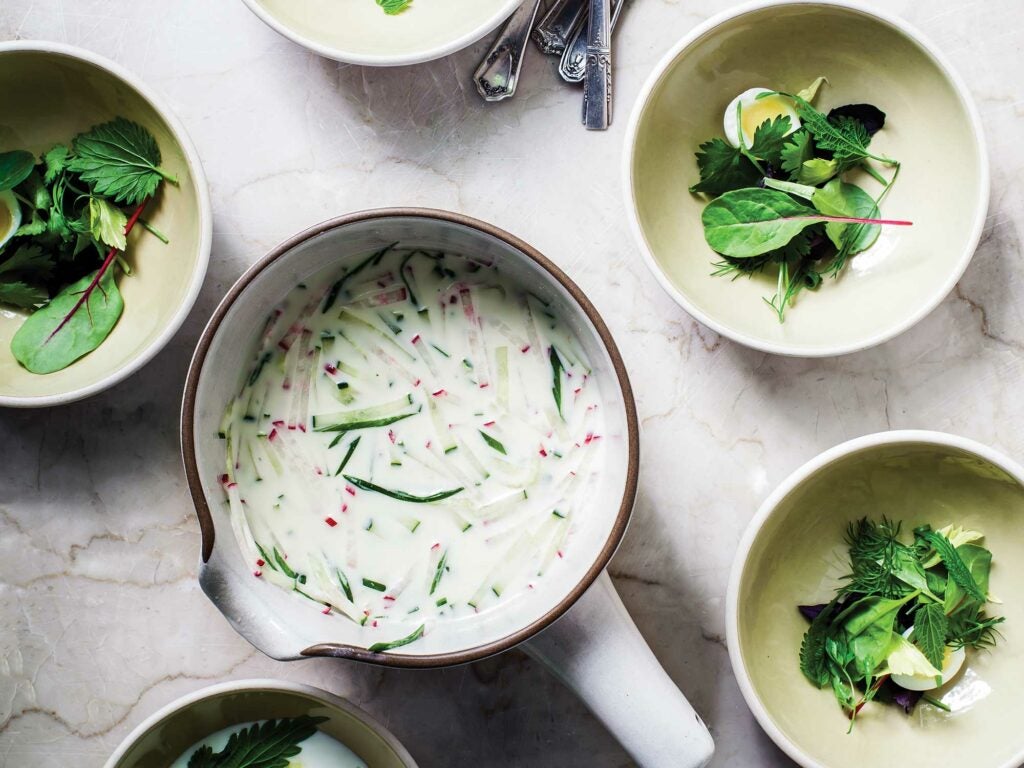 Okroshka, Chilled Russian Soup