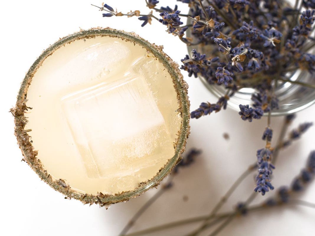 Lavender Paloma