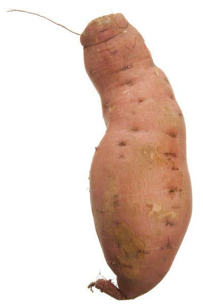 Nugget sweet potato