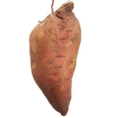 16 Shades of Sweet: A Sweet Potato Guide