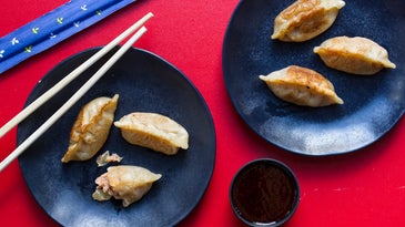 Pork and Kimchi Potstickers