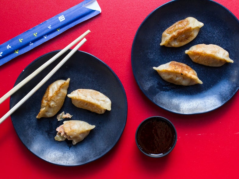 Pork and Kimchi Potstickers