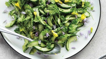 Stay Cool as a Cucumber with our 8 Favorite Recipes