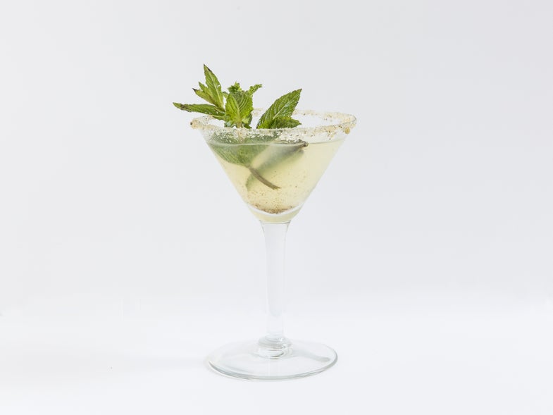 The Verbena and Mint Cocktail