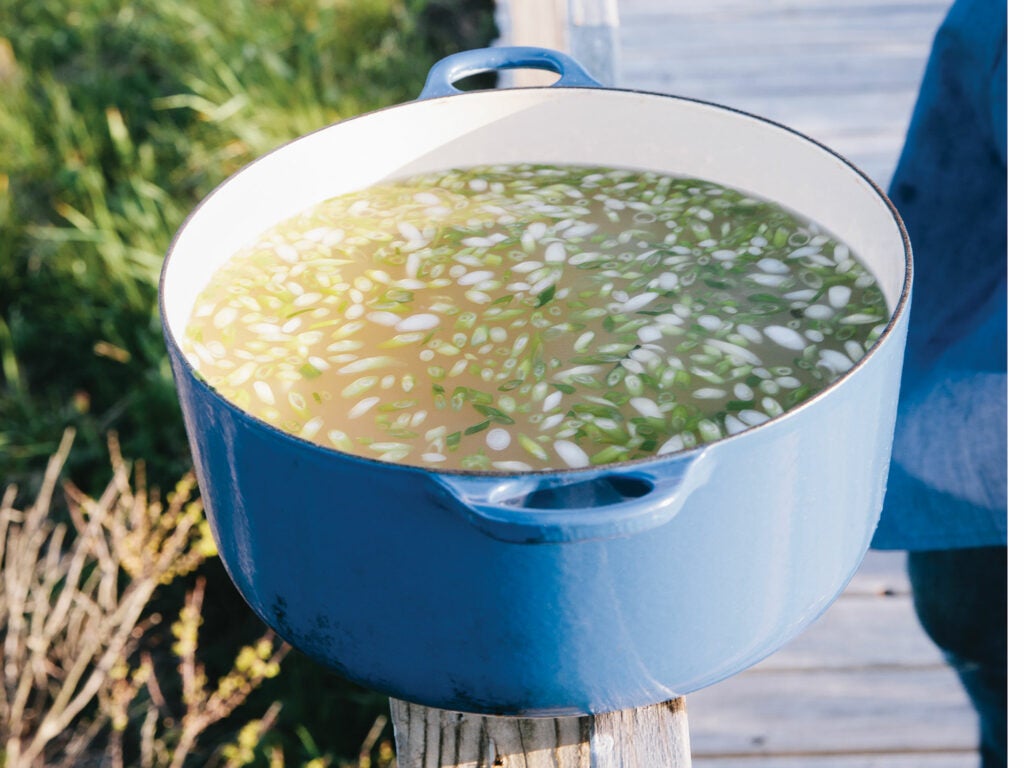 Miso Soup with Scallions and Shiso