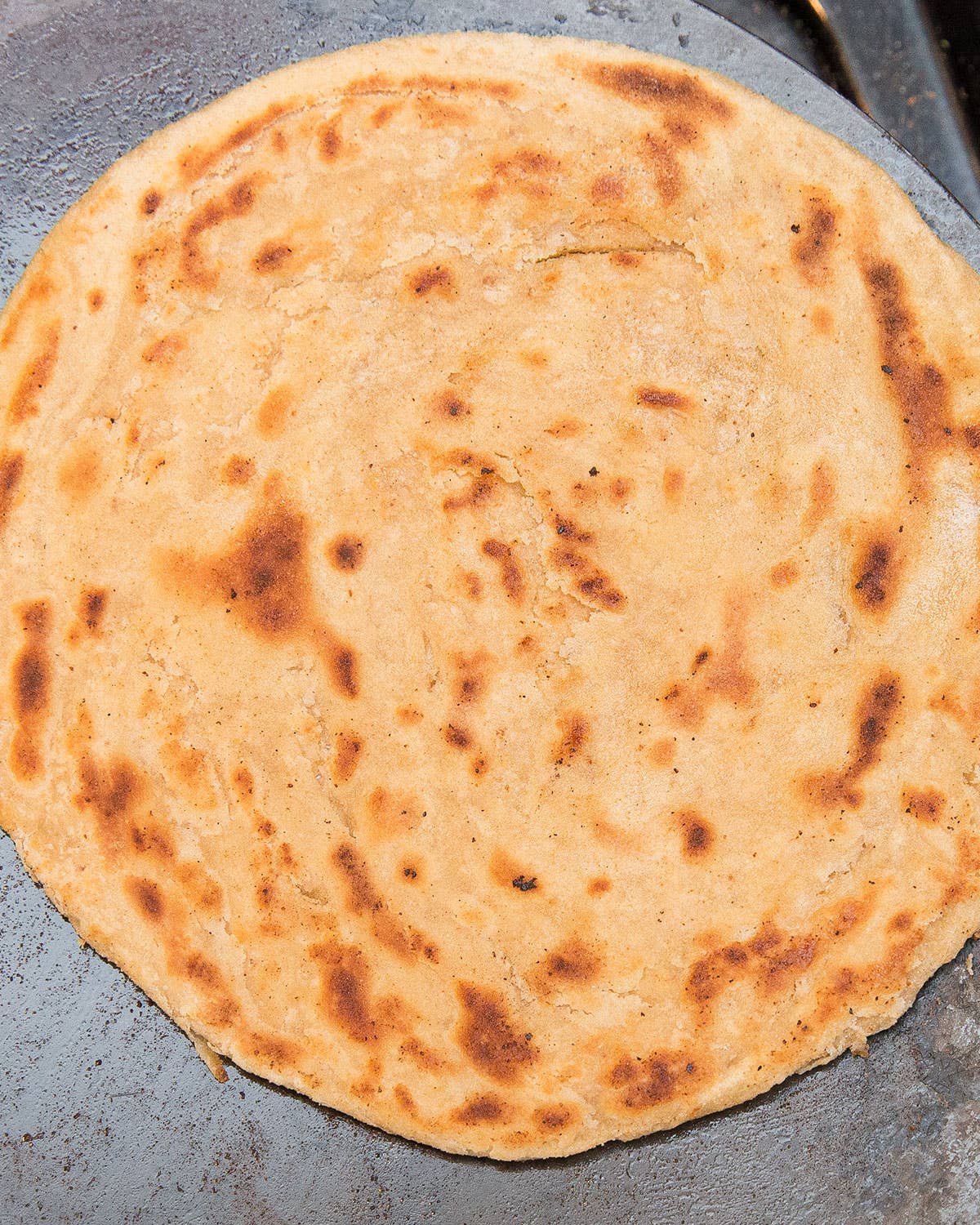 Roti (Indian Whole Wheat Flatbread)