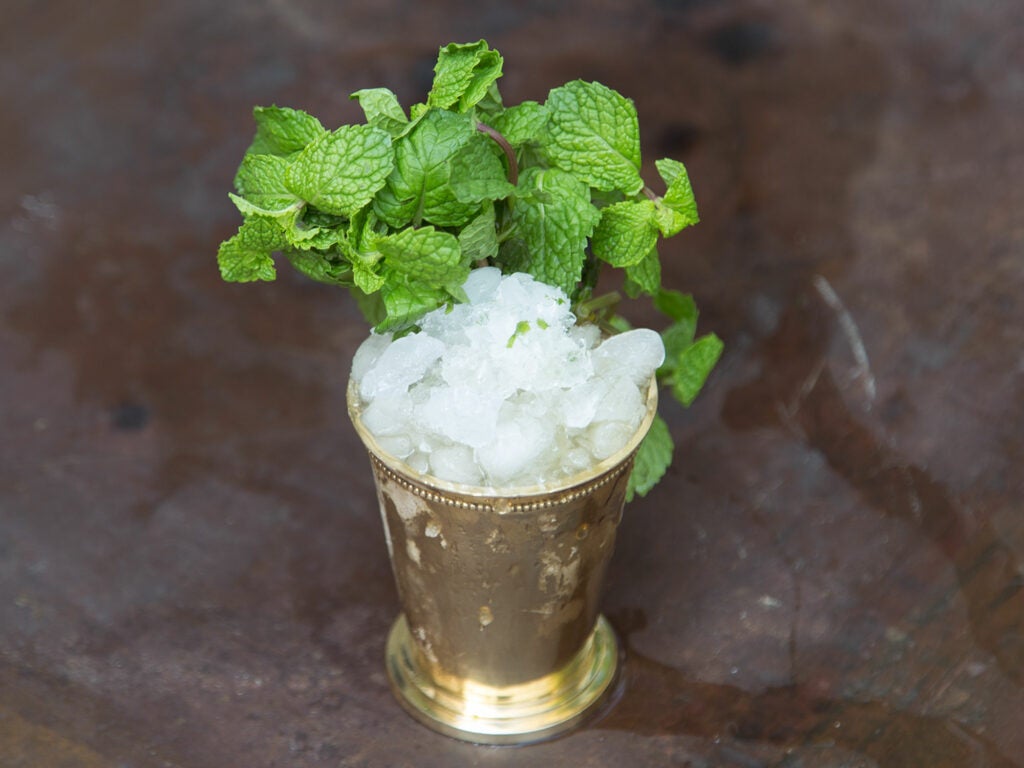 Mint Julep