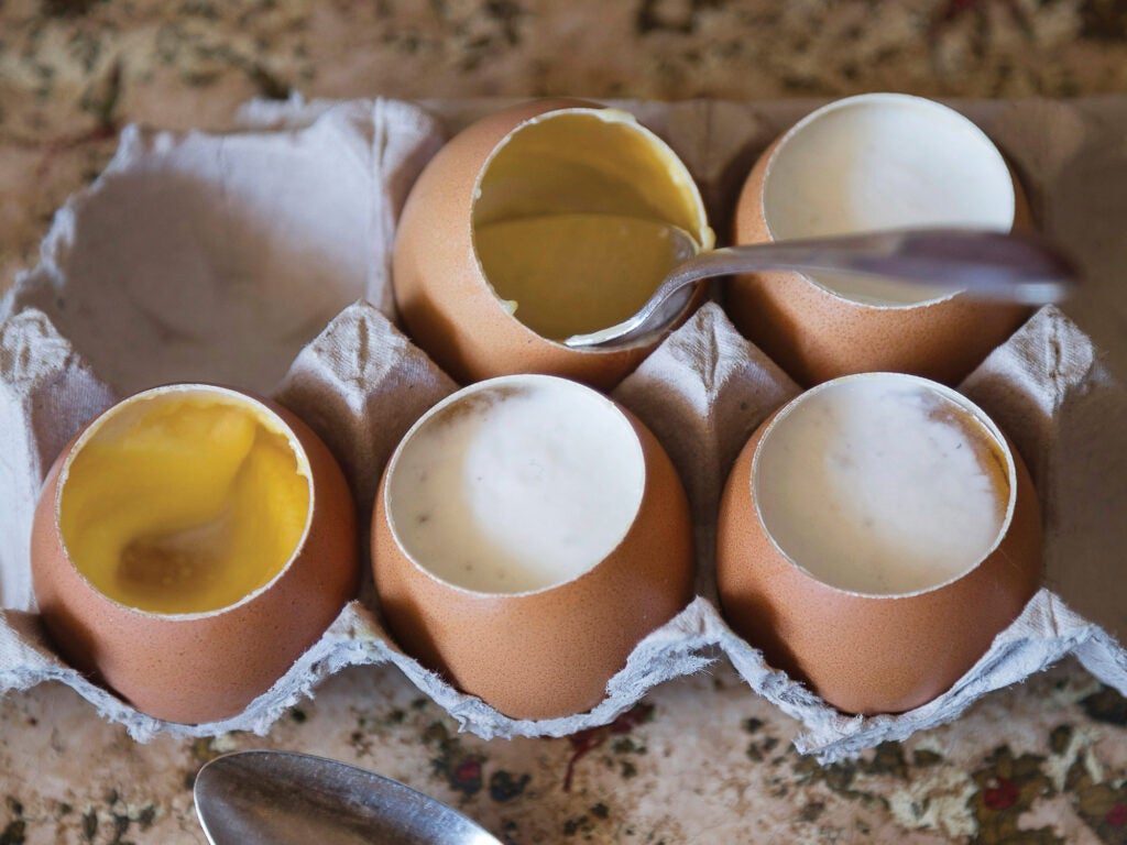 Bay and Rosemary Custard