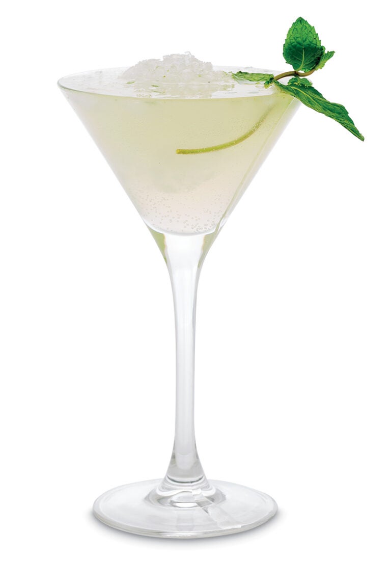 Ginger Beer and Ginger Ale Cocktail Recipes Saveur