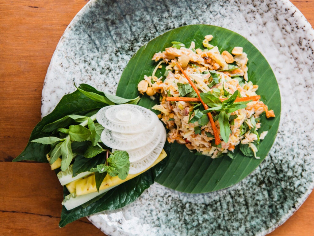 Chicken and Green Mango Salad