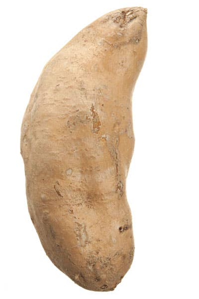 hannah sweet potato