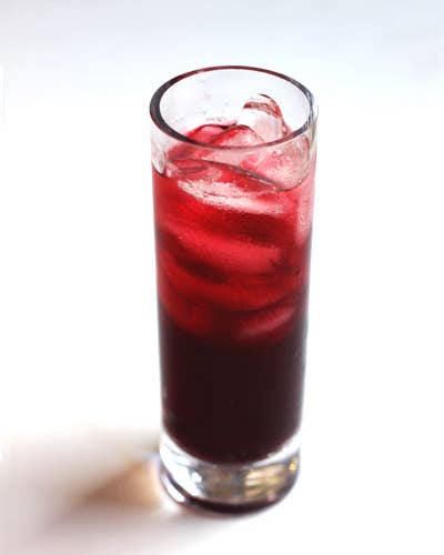 Iced Ginger Hibiscus Tea