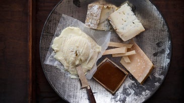 Four Decadent Cheese Plates
