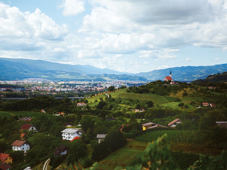 Maribor, Slovenia Landscape