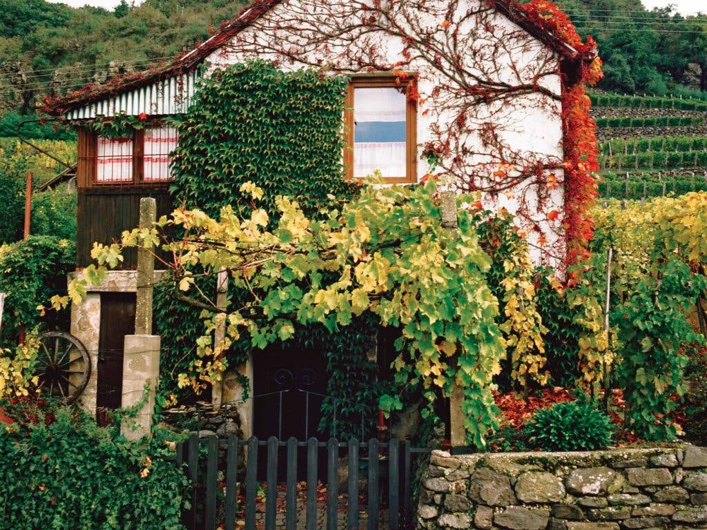 A winemaker's house in Somló, Hungary