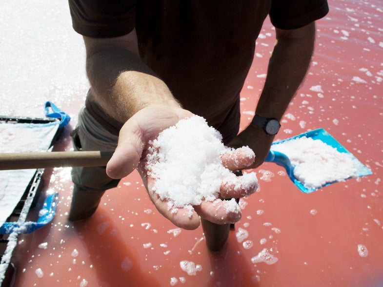 Man Holding Salt