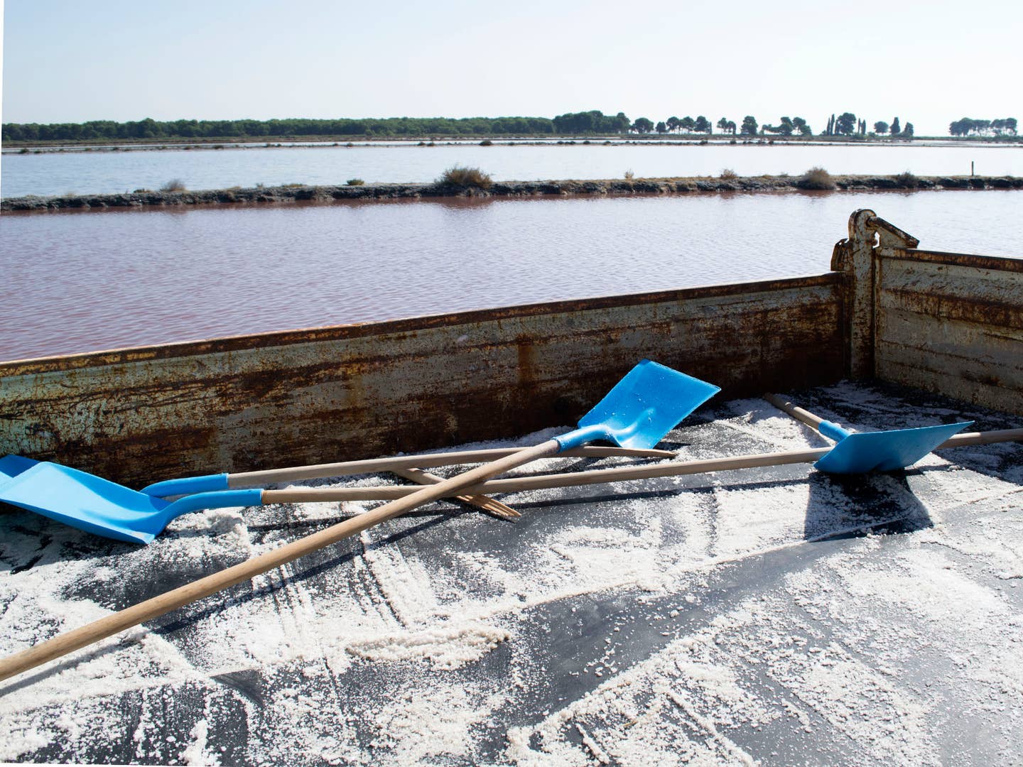 Shovels on Salt in France