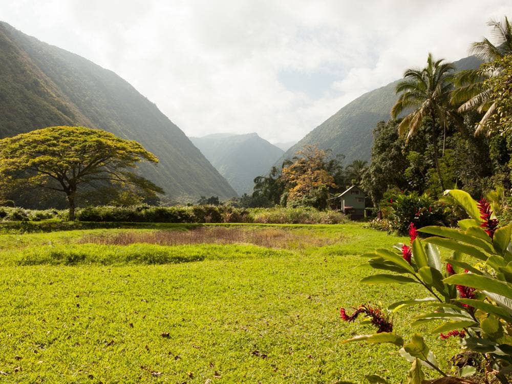 Hawaii, Waipi'o Valley, Potluck feast