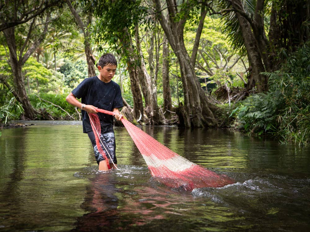 Hunting for freshwater shrimp with a cast net