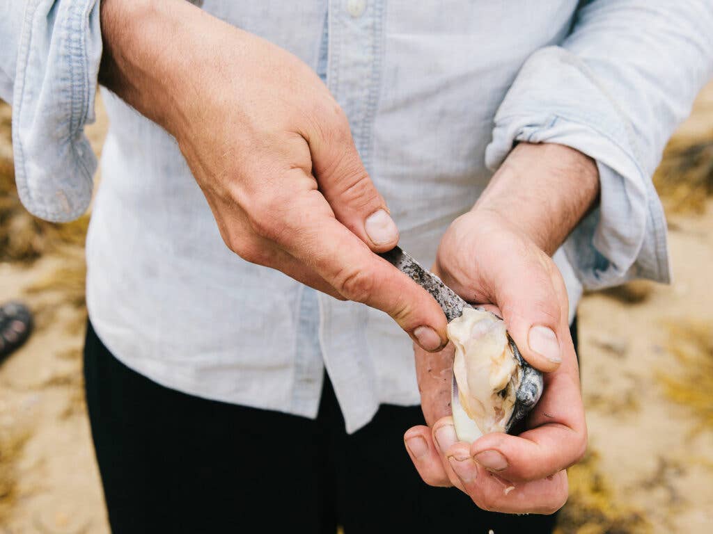 Martha's Vineyard, Chris Fischer, Entertaining, Dinner prep