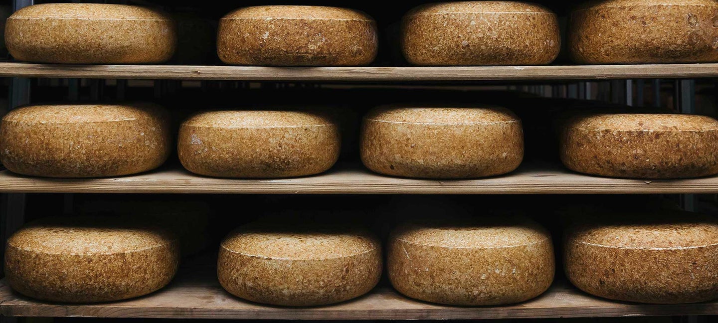 Wisconsin Cheese