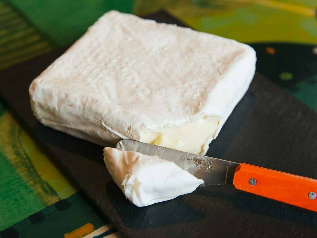 cow's milk cheese