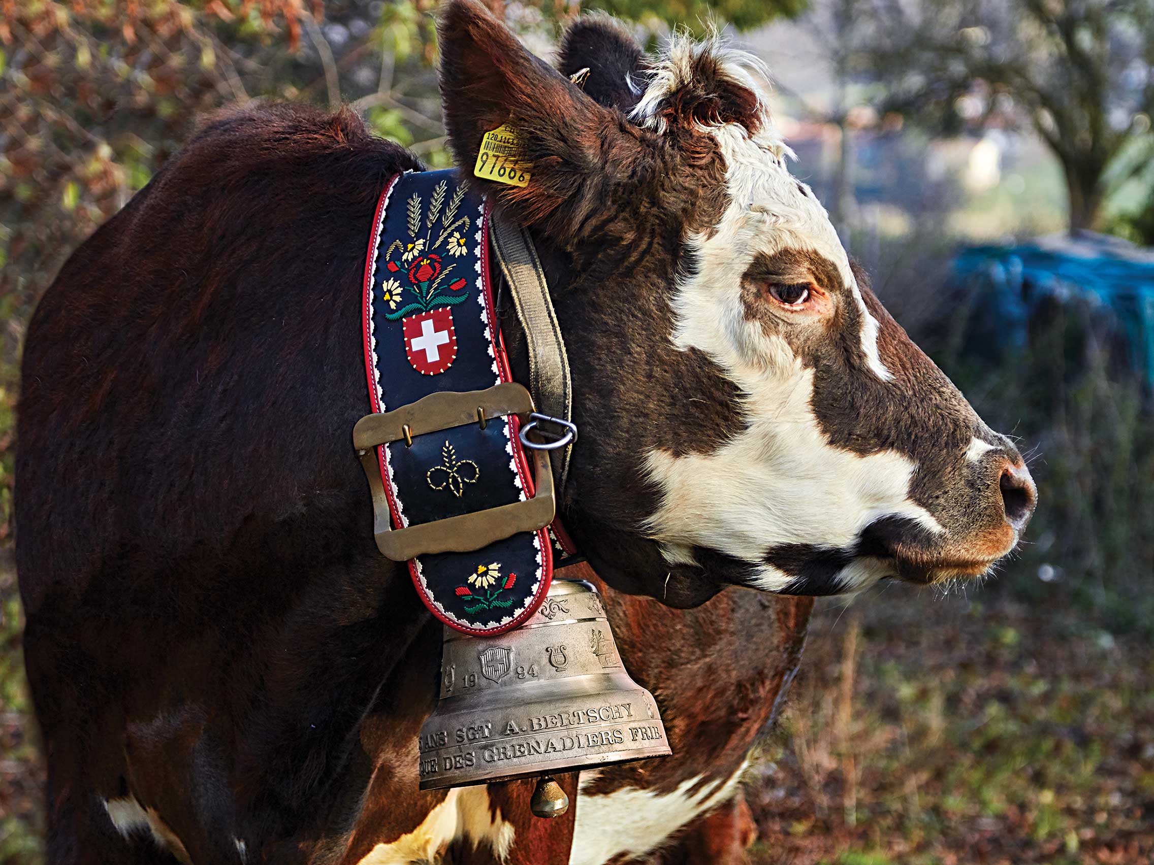 How Switzerland's Famous Dairy Cow Bells Are Made | Saveur