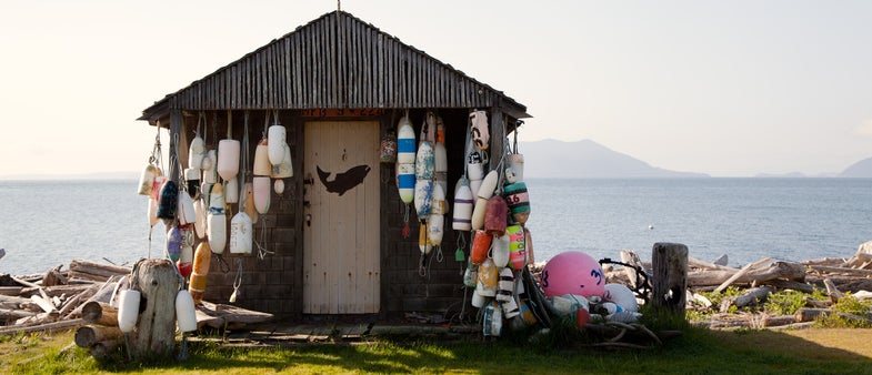 Lummi Island, Blaine Wetzel