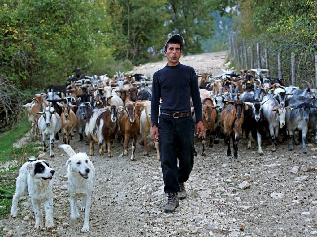 Abruzzo Shepherding wool goat sheep milk cheese