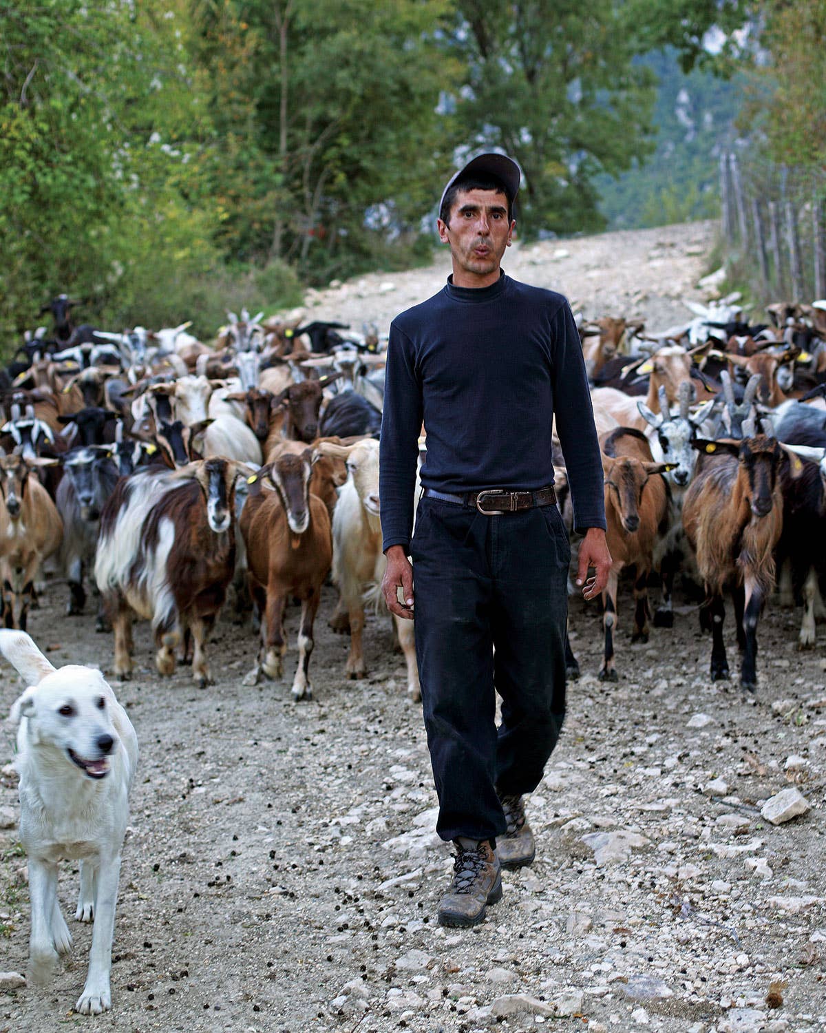 Abruzzo Shepherding wool goat sheep milk cheese