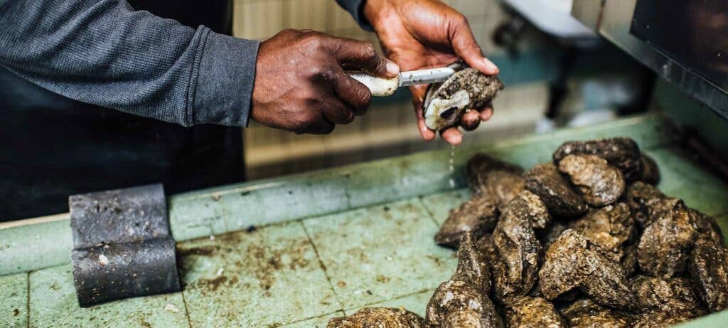 shucking oysters