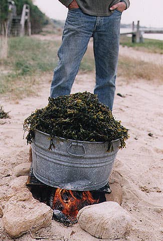 Put the washtub on a grate over a beach fire or on a hot barbecue grill. Cook for 45 minutes to 1 hour. When the potato on top is soft, the lobster bake is done.