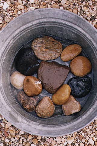 Line a large galvanized washtub with beach stones, then pour about 2 quarts of salted water into tub.