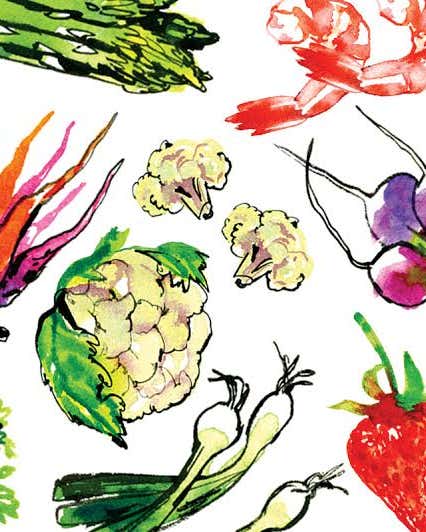 Special Squash Special Squash