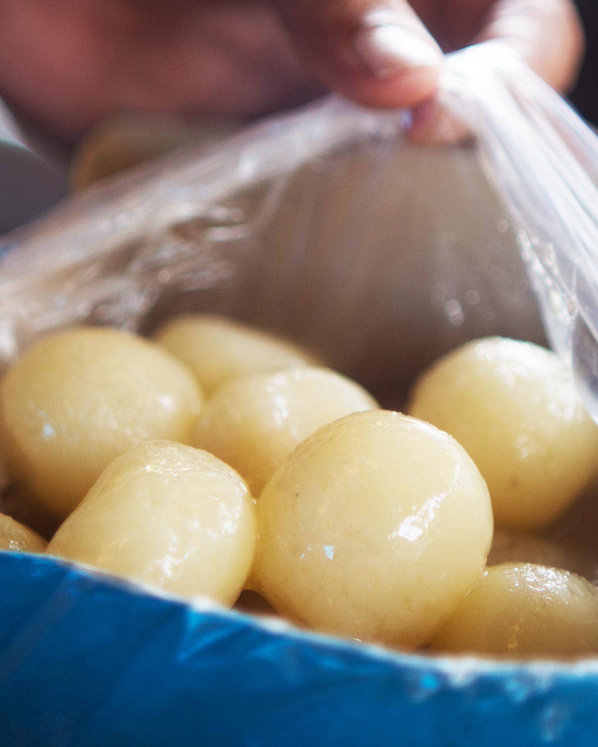 Box of Rasgulla From Haba Ghos Sweets