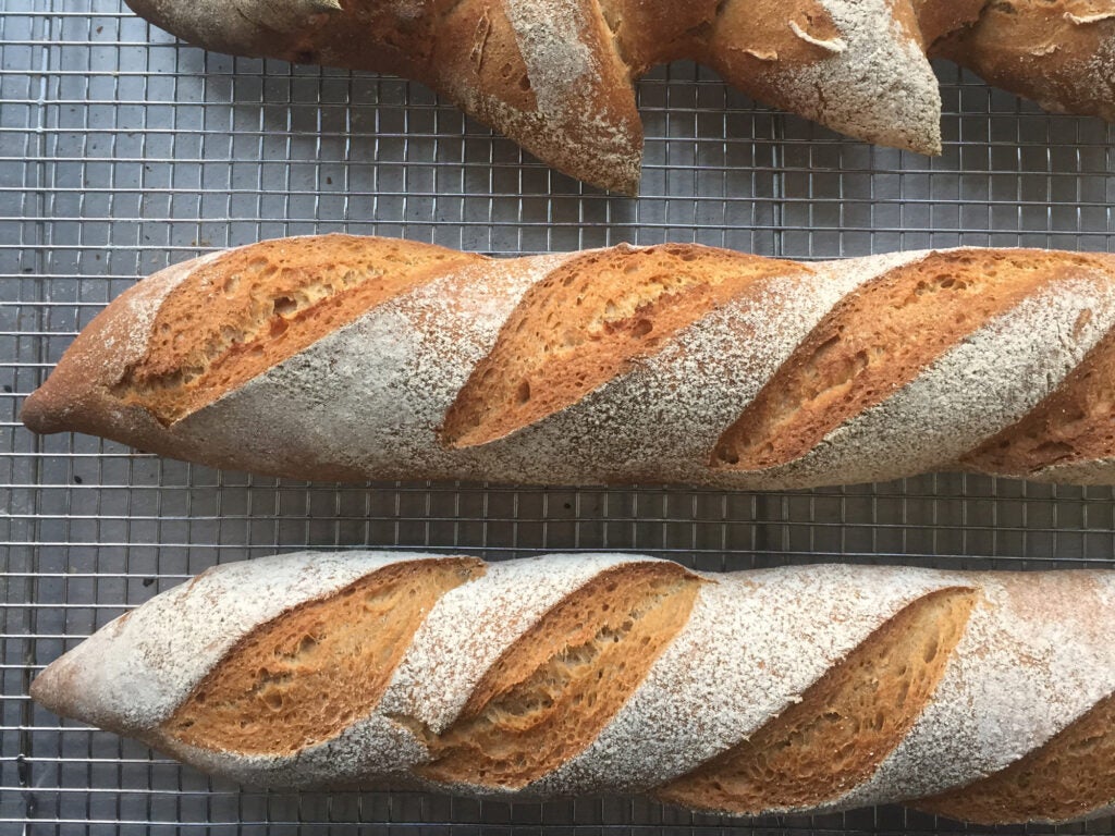 Baguettes from Chicago's Baker Miller