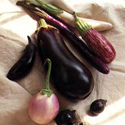 Selecting Eggplant