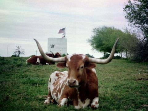 Journey up the Chisholm Trail