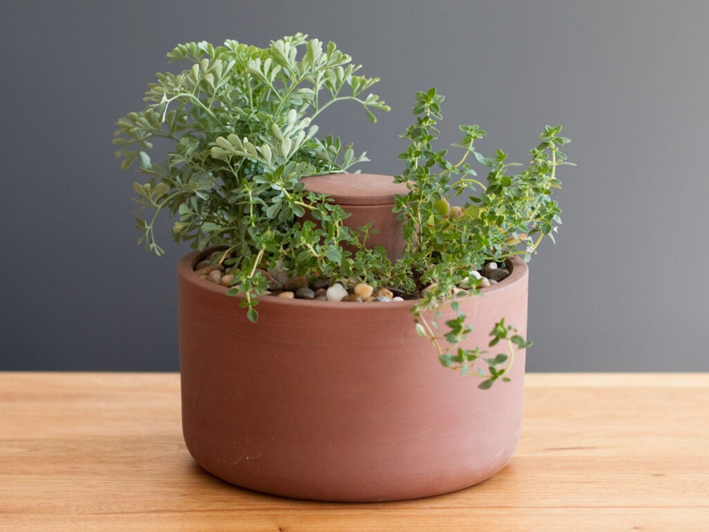 self-watering planter